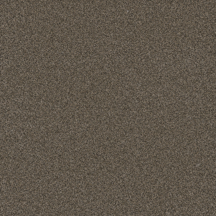 Blazer I Polyester French Roast 5133 Carpet Textured 1