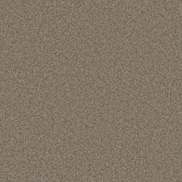 Blazer I Polyester Umber 6004 Carpet Textured 1