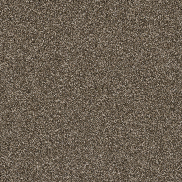 Blazer I Polyester Fawn 6005 Carpet Textured 1