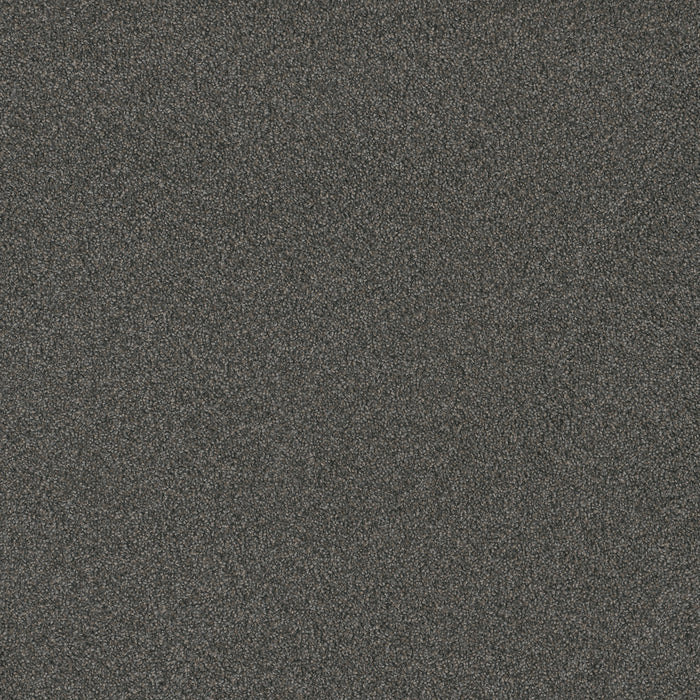Blazer I Polyester Nitro 6020 Carpet Textured 1
