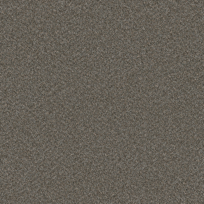 Blazer II Polyester Meadow Dance 6049 Carpet Textured 1