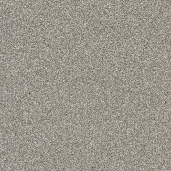 Blazer I Polyester Polar Cap 6057 Carpet Textured 1