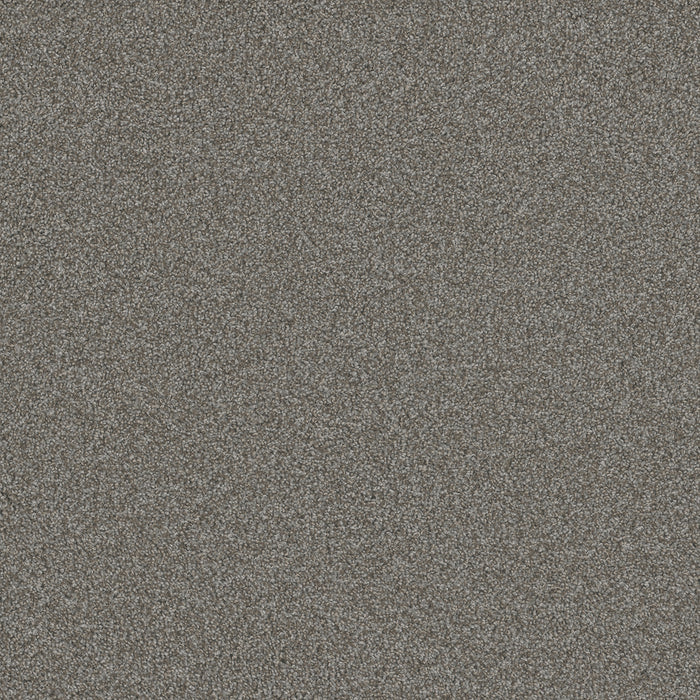 Blazer II Polyester Jadestone 6068 Carpet Textured 1