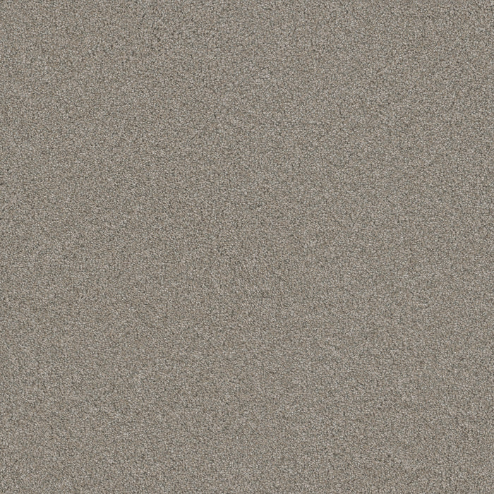 Blazer I Polyester Antique Fresco 6076 Carpet Textured 1