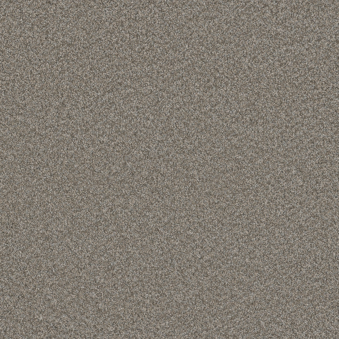 Blazer I Polyester Dogwood 6077 Carpet Textured 1