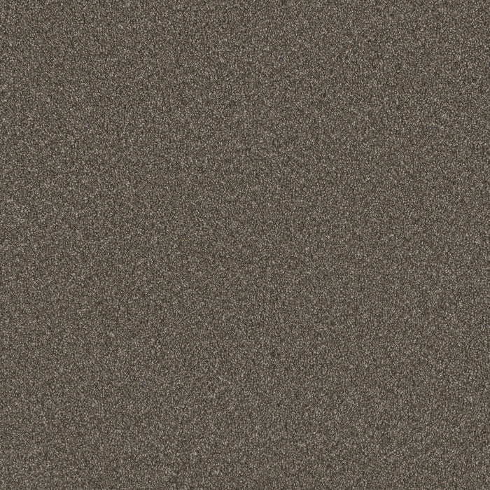 Blazer I Polyester Rugby 6112 Carpet Textured 1