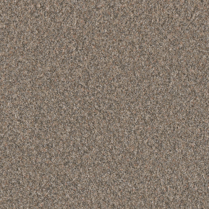 Timberline II Polyester Baked Apple 4105 Carpet Textured 1