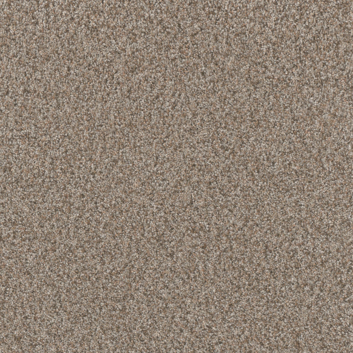 Timberline I Polyester Iced Frappe 4423 Carpet Textured 1