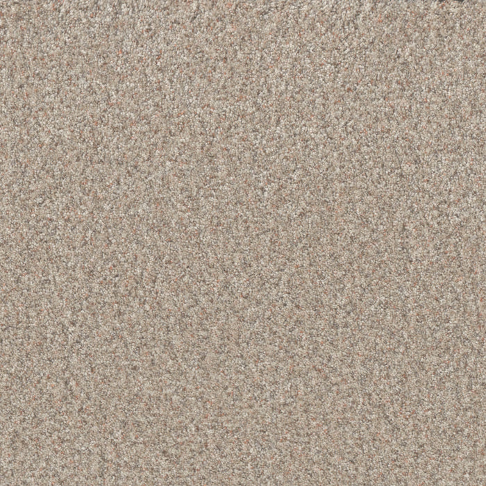 Timberline I Polyester Blossom 4511 Carpet Textured 1