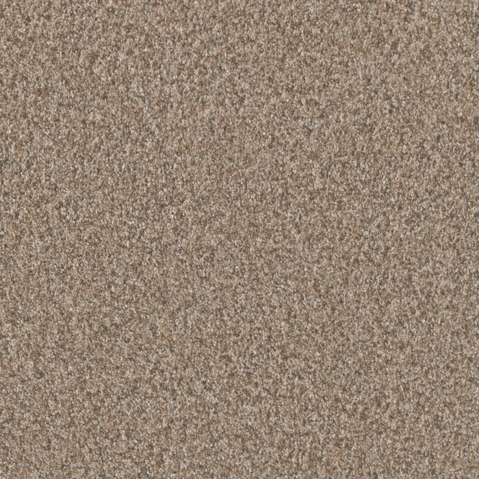 Timberline II Polyester Sunshine 4528 Carpet Textured 1