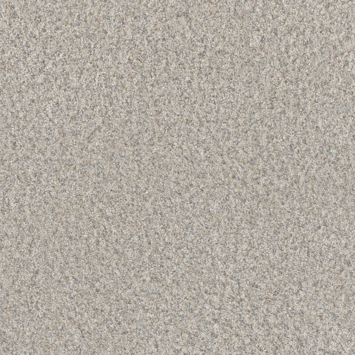 Timberline I Polyester Lush Gardenia 4643 Carpet Textured 1