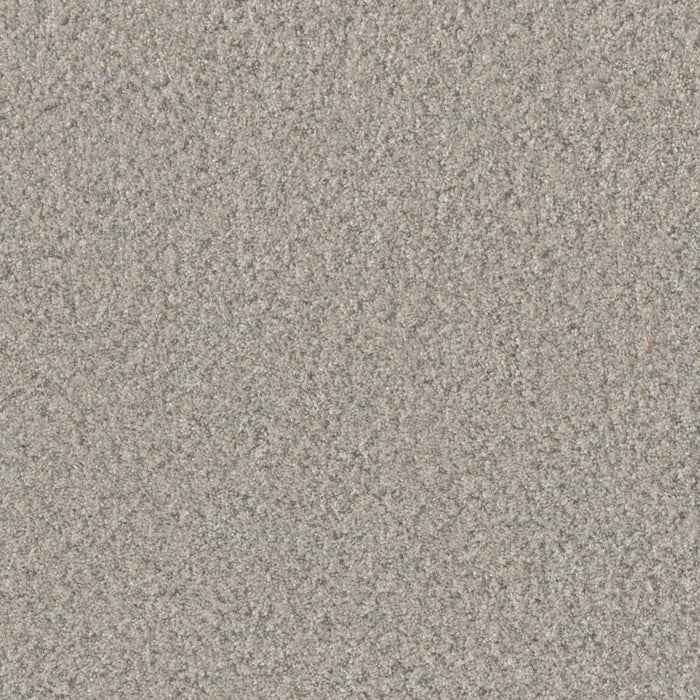 Timberline I Polyester Imperial 4723 Carpet Textured 1