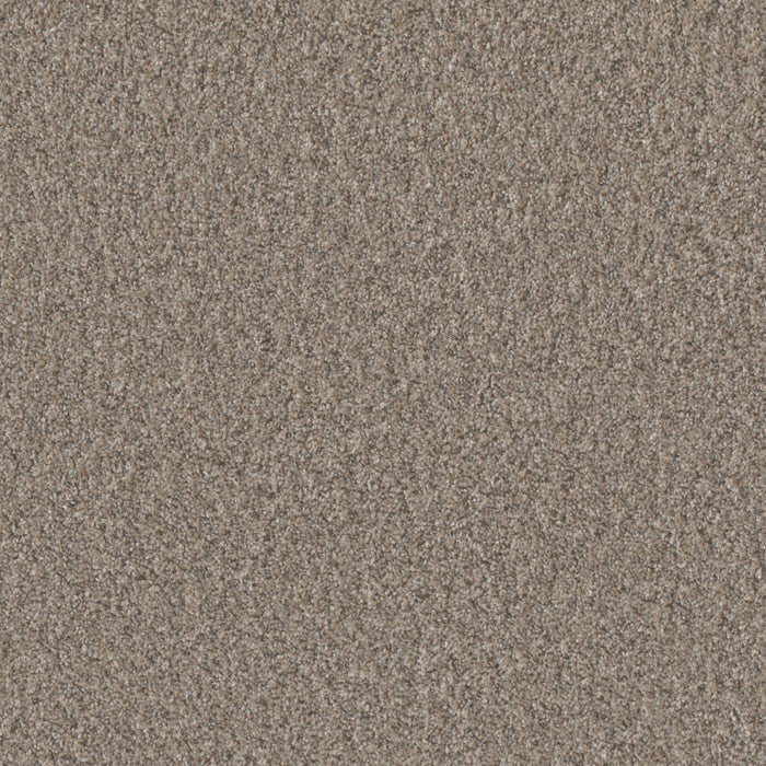 Timberline I Polyester Cozy Path 5073 Carpet Textured 1