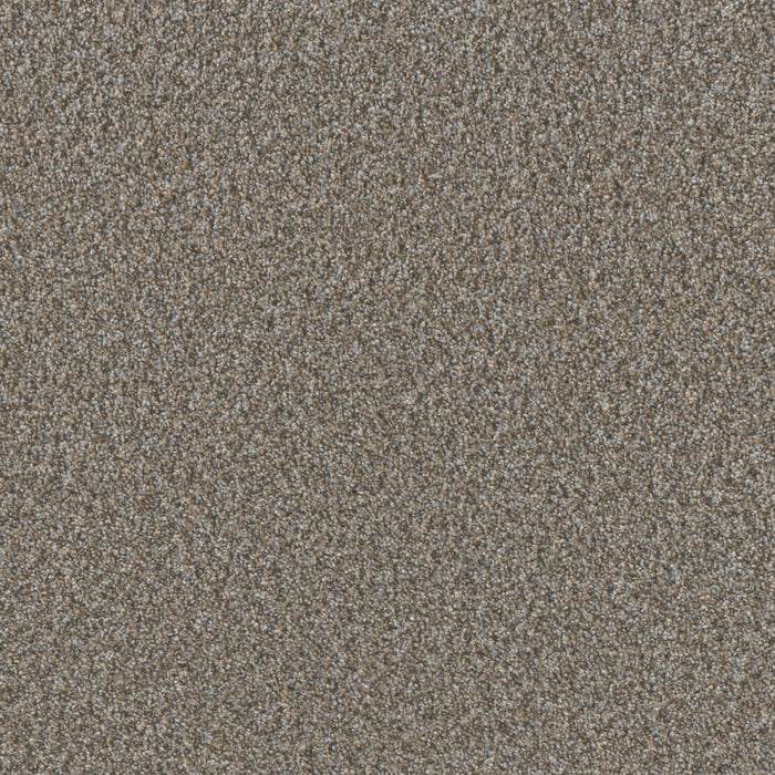 Timberline I Polyester Cedar Key 5197 Carpet Textured 1