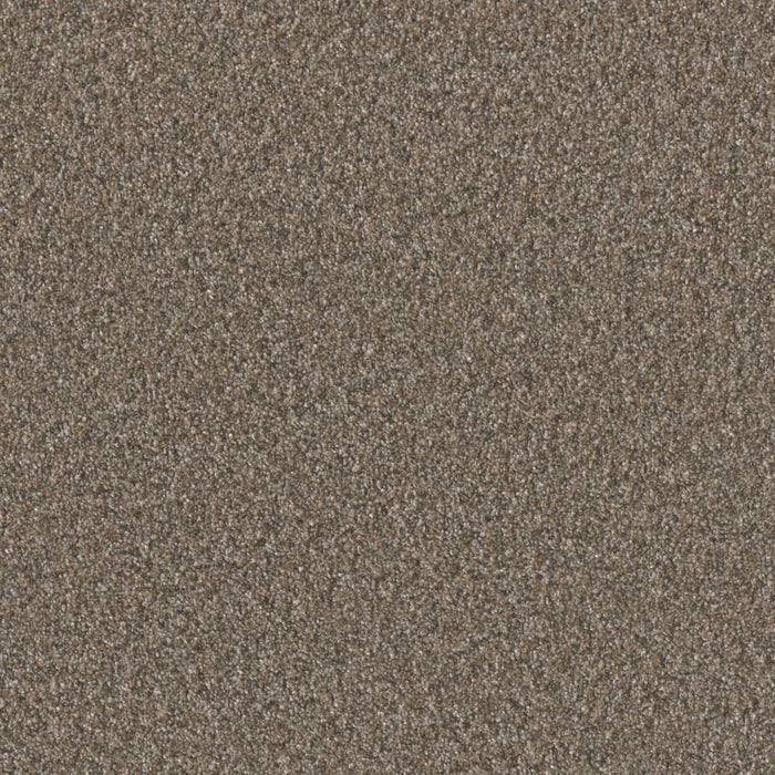 Timberline I Polyester Butterfly 5295 Carpet Textured 1