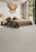 Timberline III Polyester Lush Gardenia 4643 Carpet Textured 2