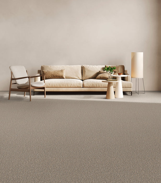 Timberline I Polyester Cozy Path 5073 Carpet Textured 2