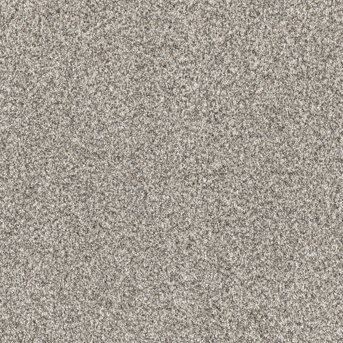 Affinity I Polyester Wheat 2650 Carpet Textured 1