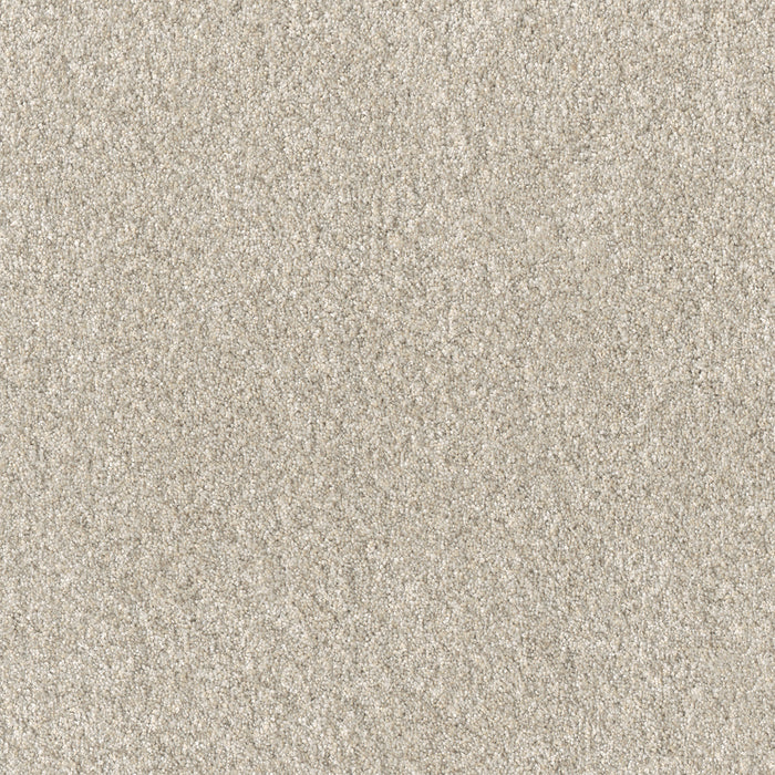 Affinity I Polyester Bisque 4014 Carpet Textured 1