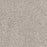 Affinity IV Polyester Elkhound 4042 Carpet Textured 1