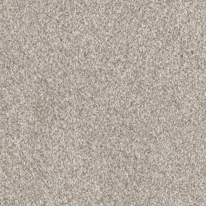 Affinity I Polyester Elkhound 4042 Carpet Textured 1
