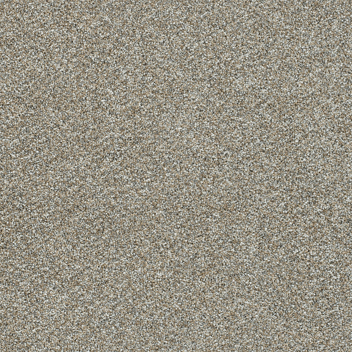 Affinity III Polyester Gravel 4135 Carpet Textured 1