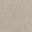 Affinity II Polyester Plateau 4227 Carpet Textured 1