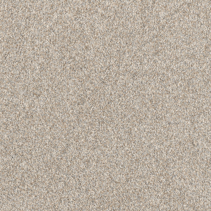 Affinity III Polyester Plateau 4227 Carpet Textured 1