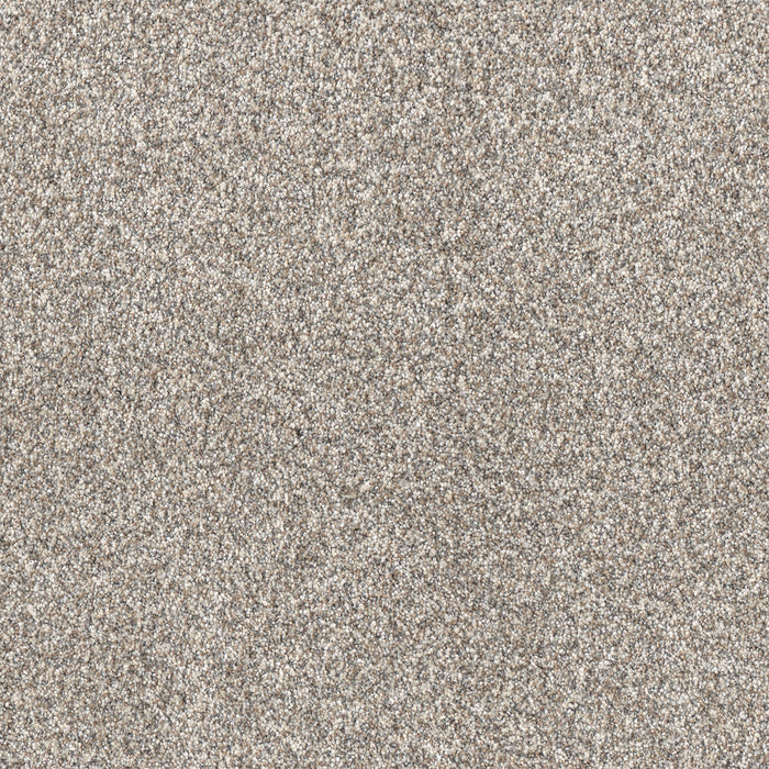 Affinity III Polyester Classy 4309 Carpet Textured 1