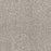 Affinity IV Polyester Classy 4309 Carpet Textured 1