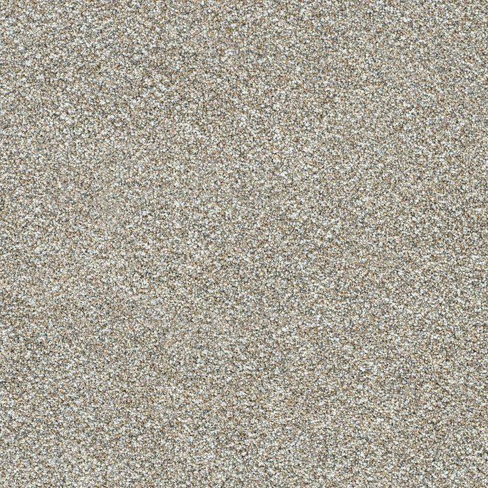 Affinity I Polyester Canyon Dusk 4366 Carpet Textured 1