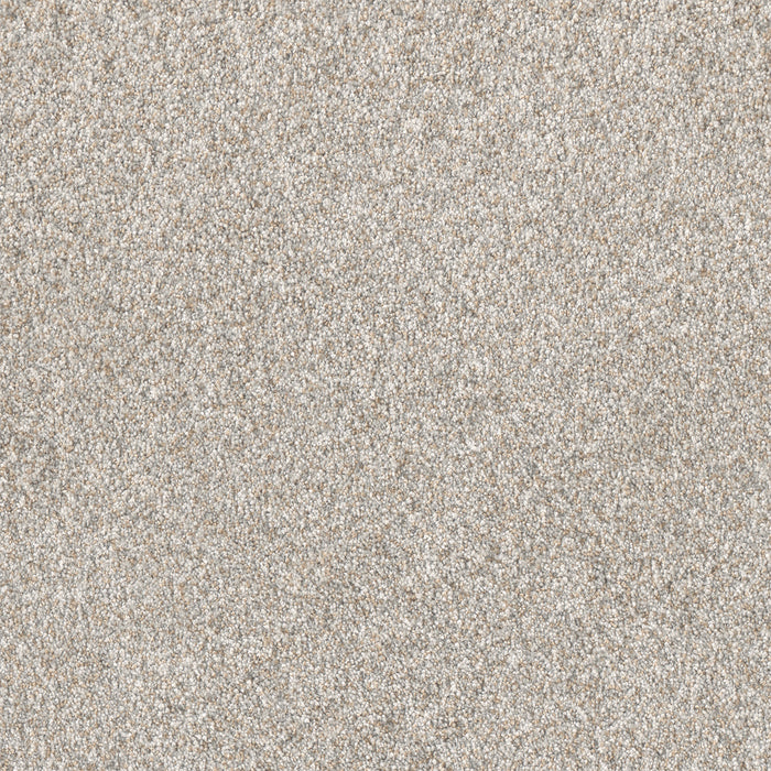 Affinity I Polyester Sparrow 4391 Carpet Textured 1