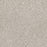 Affinity II Polyester Sparrow 4391 Carpet Textured 1