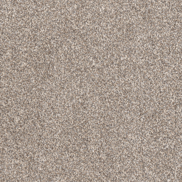 Affinity I Polyester Celestial 4456 Carpet Textured 1