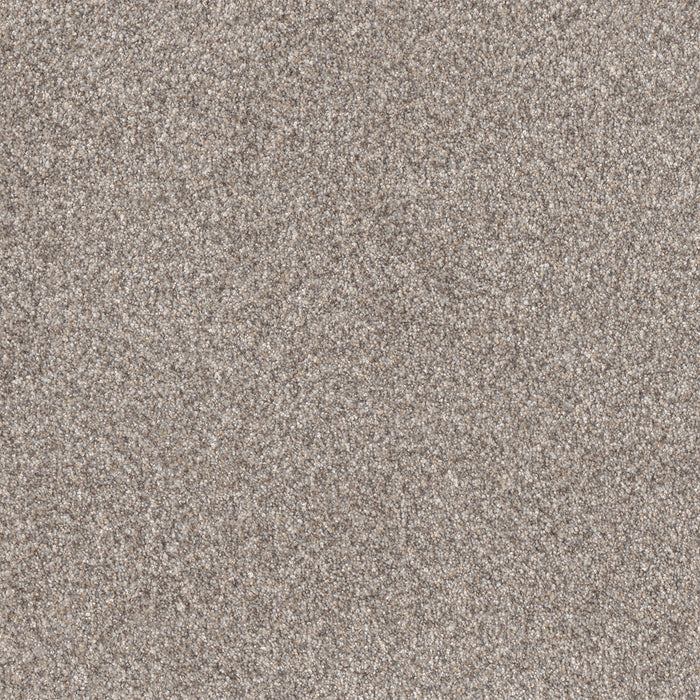 Affinity I Polyester Mesa 4620 Carpet Textured 1
