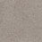 Affinity IV Polyester Mesa 4620 Carpet Textured 1