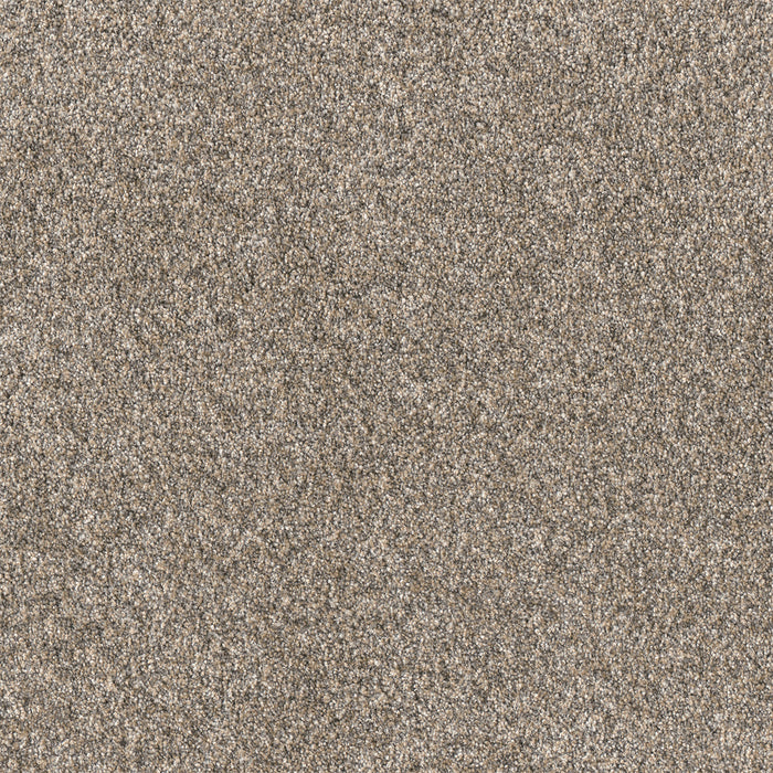 Affinity IV Polyester Spice 4695 Carpet Textured 1