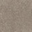 Affinity III Polyester Spice 4695 Carpet Textured 1