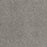 Affinity IV Polyester Moxie 4873 Carpet Textured 1