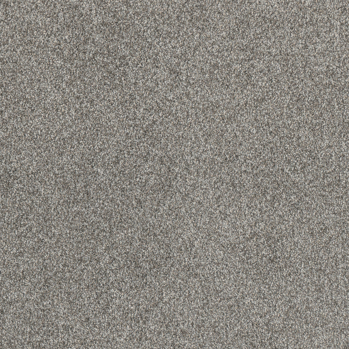 Affinity IV Polyester Moxie 4873 Carpet Textured 1