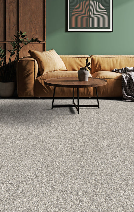Affinity I Polyester Elkhound 4042 Carpet Textured 2