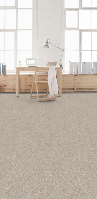 Affinity I Polyester Plateau 4227 Carpet Textured 2