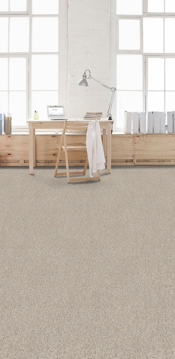 Affinity II Polyester Plateau 4227 Carpet Textured 2