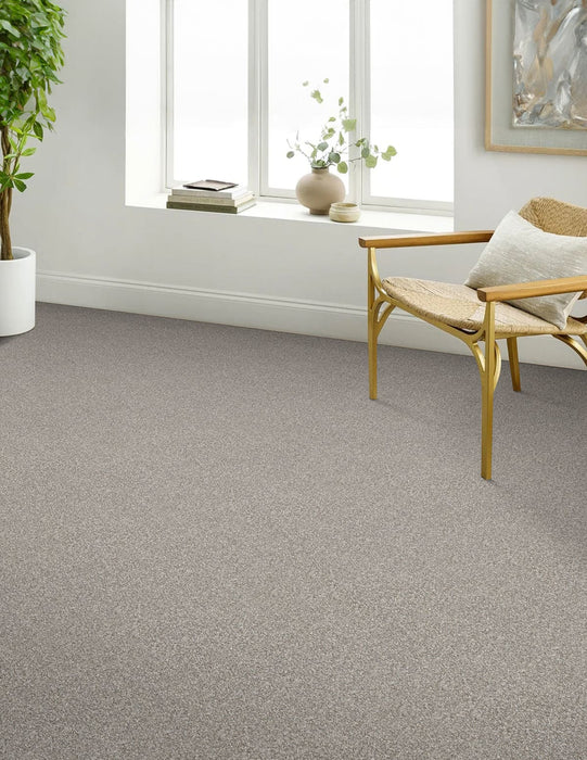 Affinity IV Polyester Classy 4309 Carpet Textured 3