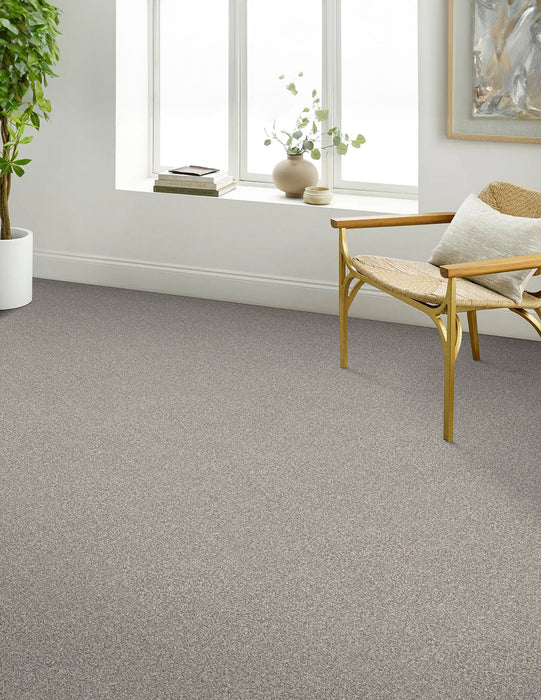 Affinity I Polyester Classy 4309 Carpet Textured 3