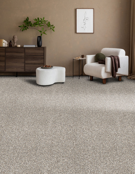 Affinity IV Polyester Classy 4309 Carpet Textured 2