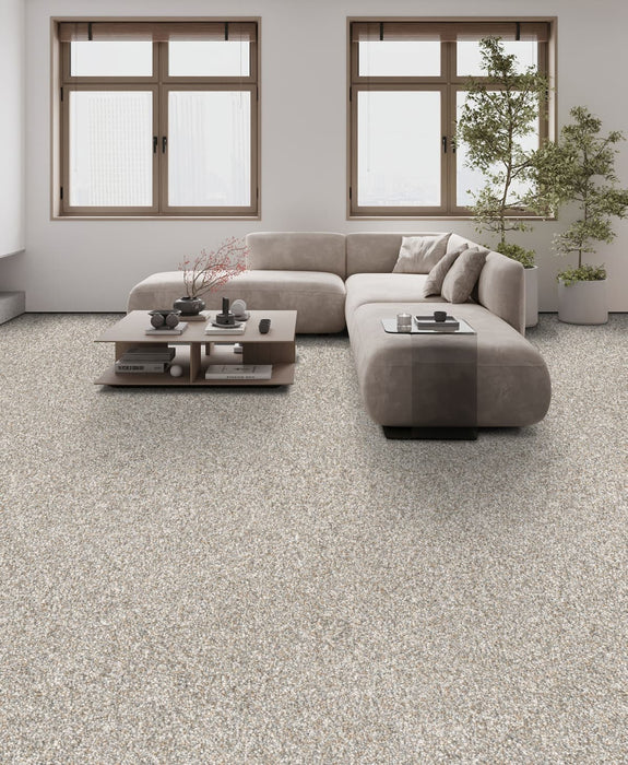 Affinity III Polyester Sparrow 4391 Carpet Textured 2
