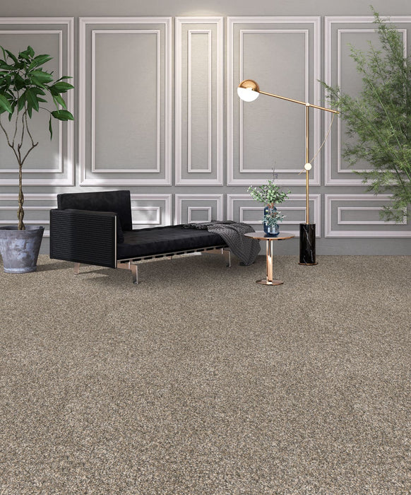 Affinity IV Polyester Spice 4695 Carpet Textured 2