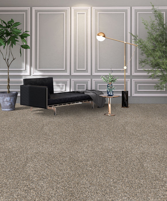 Affinity I Polyester Spice 4695 Carpet Textured 2