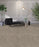 Affinity III Polyester Spice 4695 Carpet Textured 2